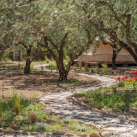 Odyssey Eco Farm Glamping Кемпинг