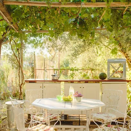 Odyssey Eco Farm Glamping