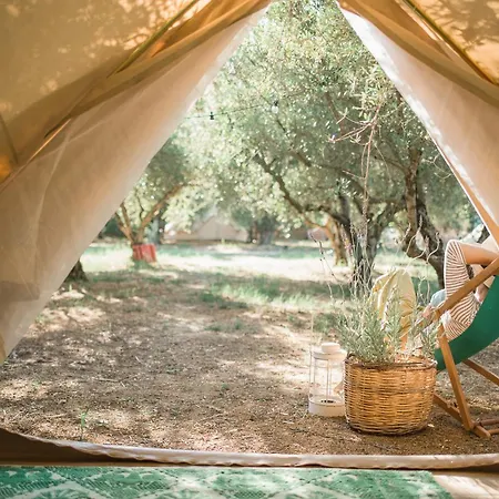Odyssey Eco Farm Glamping *
