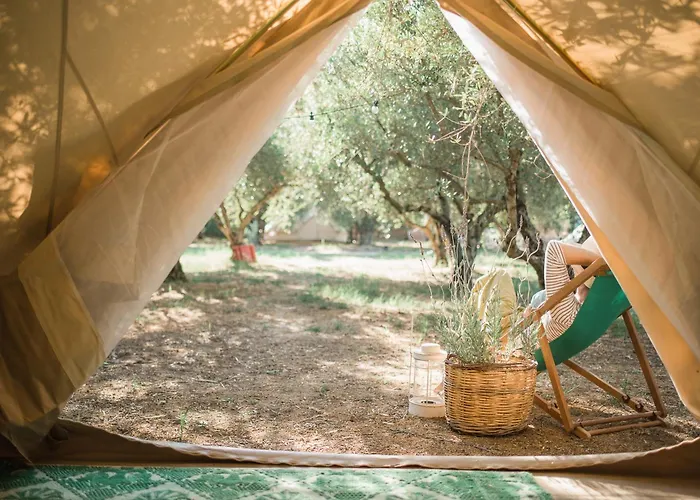 Odyssey Eco Farm Glamping *